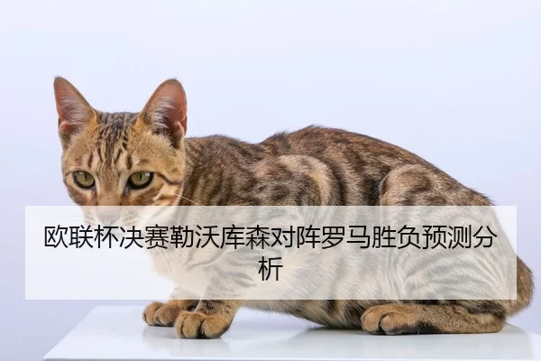 欧联杯决赛勒沃库森对阵罗马胜负预测分析