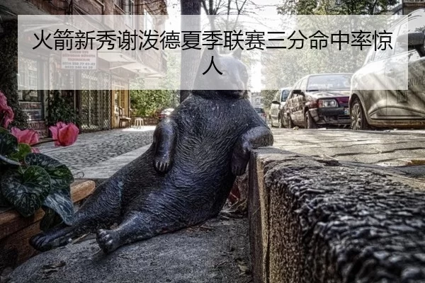火箭新秀谢泼德夏季联赛三分命中率惊人