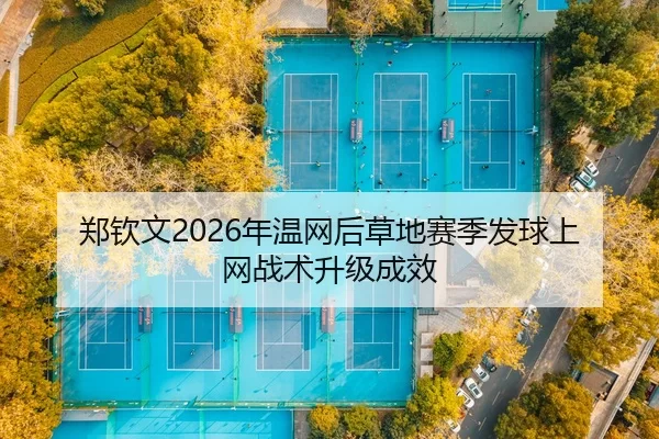 zheng-qin-wen-nian-wen-wang-hou-cao-di-sai-ji-fa-qiu-shang-wang-zhan-shu-sheng-ji-cheng-xiao-3-719.jpg
